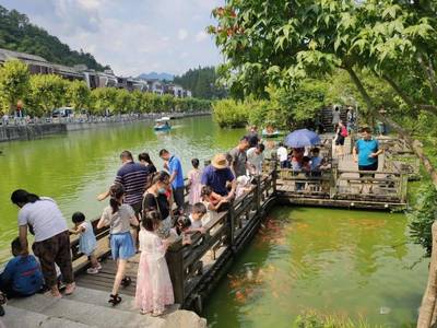 享受一場(chǎng)清涼之旅,井岡山避暑游火熱!